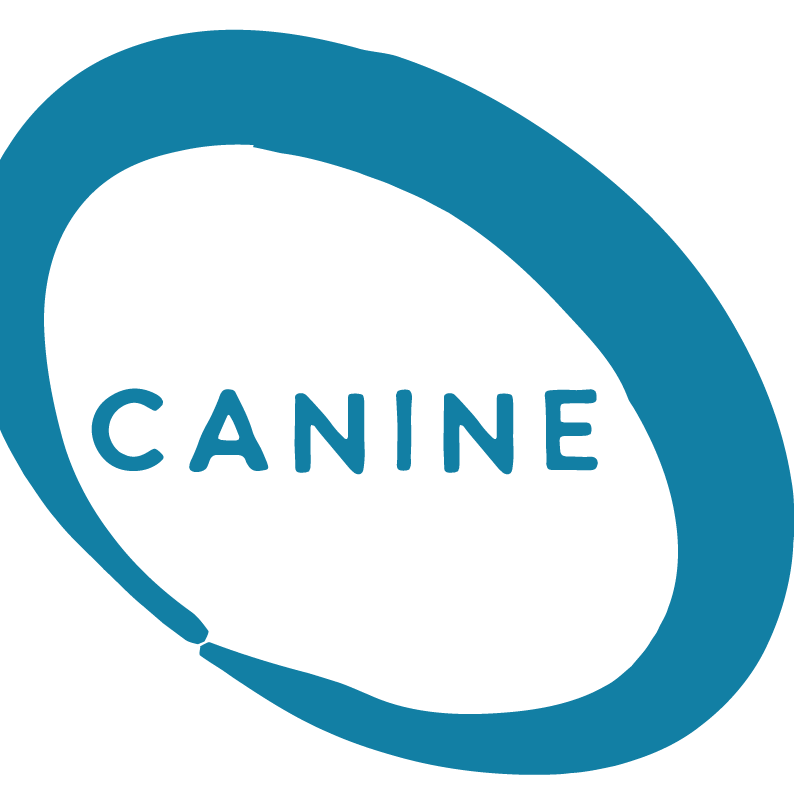 Canine Bowen training