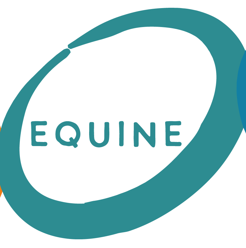 Equine Bowen training